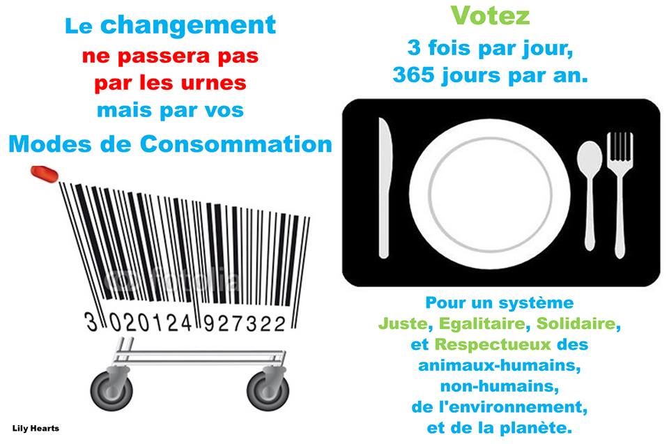 Libérons l'économie réelle de la spéculation